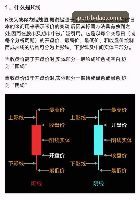 半岛综合多元娱乐实用指南：从入门到精通的必备知识