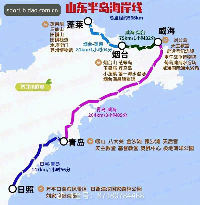 7个维度深度分析：半岛综合体育平台如何在竞争中脱颖而出